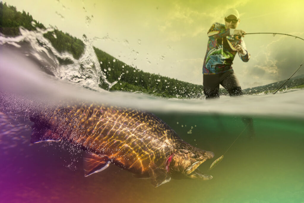 Bait with Brilliance: Capture Your Market, Hook, Line, and Sinker