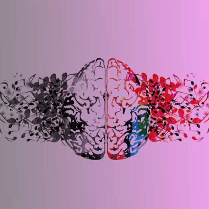 Rational-Brain